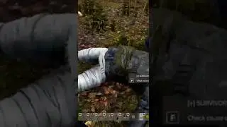 All ways check you back in Dayz