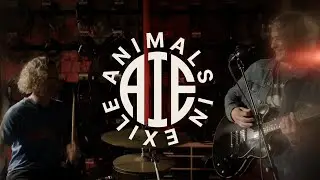 "I Can Fly" by Animals in Exile