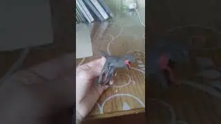 оцените от 1/10