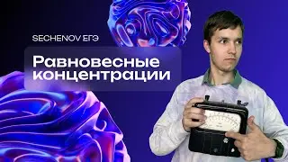 Разбор темы на примере РЕАЛЬНОГО задания ЕГЭ | Равновесные концентрации | Арсений SU