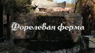 Армения. Гарни. Форелевая ферма