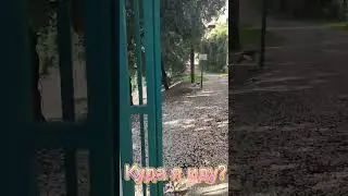 Угадайте куда я поднимаюсь?🤔 Конечно же смотреть на красоту🥰. Смотрите в следующем видео🙋🏻‍♀️.