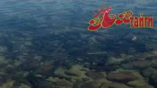Ленок на нересте. Lenok spawn.
