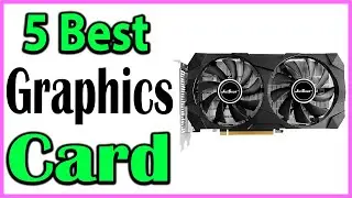 TOP 5 Best Graphics Card Review 2024