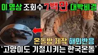 이 영상 조회수 7백만 대박 비결, 한국 전통 온돌 시공 제작 과정 해외반응, 리액션 Reaction, 고양이 Cat 잠, 기절 Korean Heating System, Ondol