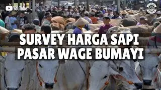 HUNTING SAPI DI PASAR WAGE BUMIAYU JAWA TENGAH