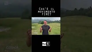 What is the FIRE movement?