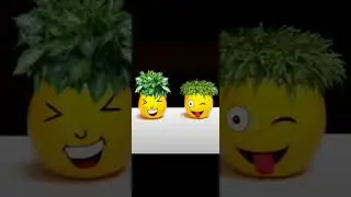 most recommended video how to make flowers pots at home #smile #funny #face #funnyvideo