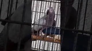 учим новый стишок 1