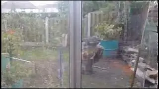 How to clean Greenhouse Glass, Simple easy way