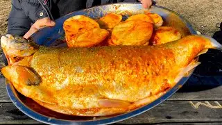 NEVER HAVE I EVER EATEN SUCH DELICIOUS FISH!