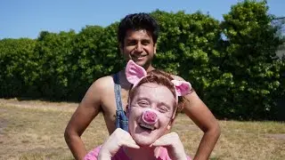 The World's Most Humane Pig Farm