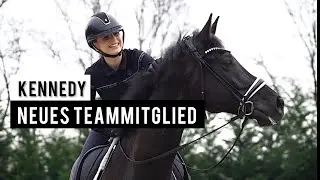Unser neues Pferd im Team - Infos und die Story zu Kennedy | Team Inleobo | Gepflegter Reitsport