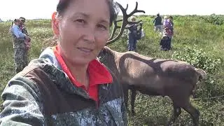 Едем на праздник оленевода. Чайво. На Сахалине.