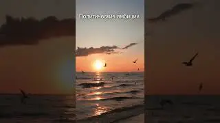Политические амбиции