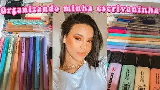 Organizando minha escrivaninha para 2022 🖥
