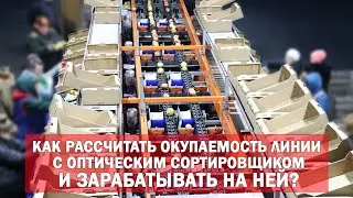 Как рассчитать окупаемость линии с оптическим сортировщиком фруктов и зарабатывать на ней