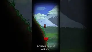 Старая русская поговорка... #terraria #террария #edit