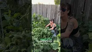 3 Keys To A THRIVING Garden With MINIMAL Effort!