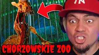🦍 Zmutowane zwierzęta w CHORZOWSKIM ZOO! *liżą mi pięty* | Zoochosis #01
