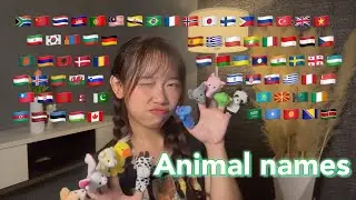 ASMR Animal Names in 70 Different Languages (2 hours for sleep)