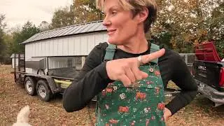 CHICKEN CITY: Redesigning our Chicken Area