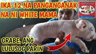 (12th PARITY) 110 DAYS NANGANAK NA SI WHITE MAMA, MAY IBUBUGA PA @mangungumatv8418