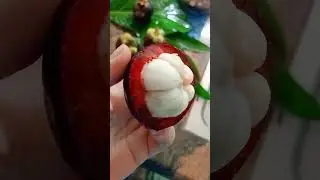 Mangosteen Juice Recipe 🌸 Natural Healthy Food 🌿 Mangosteen Smoothie 🥤 Vegetarian Food