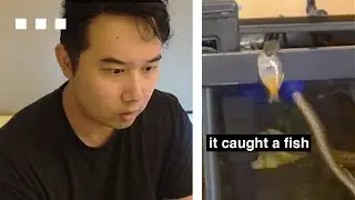 SNAKE in my Fish Tank (NOT A PET) | Fish Tank Review 272