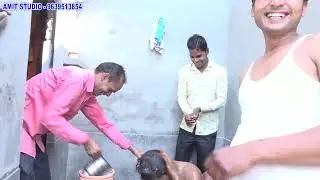 9639513854 Amit photo studio Sambhal 02