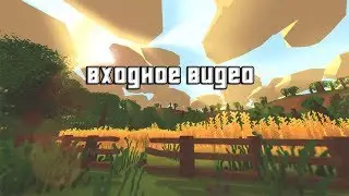 Входное видео