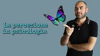 La percezione in psicologia