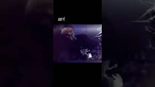 один мальчик...  