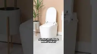 Ever Seen a $1,800 Bidet? | BidetKing.com