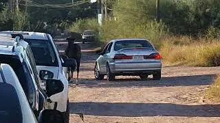 Horse Towing services