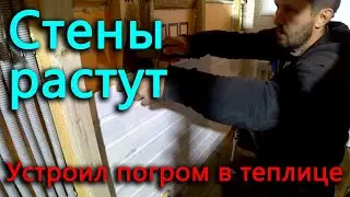 Жесткое пасынкование. Появляются стены С/У.