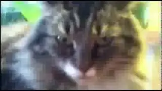 Ты следующий.