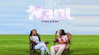 D voice Ft. Zuchu - Nani ( KARAOKE LYRICS ) Instrumental Beats By Ram