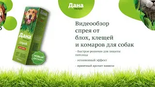 Обзор спрея от блох и клещей | Дана Ультра для собак в новом дизайне | Апиценна