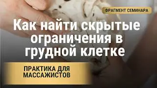Алгоритм Молодости тела Фрагмент семинара Ольги Турбиной