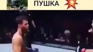 Хабиб или конр