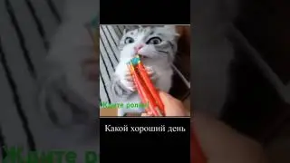 эй какой хороший день! #рек #мем #music #актив #рекомендации