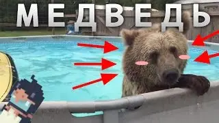 МОЙ ЛИЧНЫЙ МЕДВЕДЬ. THE LONG DARK.