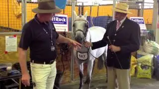 2012 Royal Ester Show - Interviewing Mr. Anthony Hurley