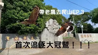 【帶老鷹去爬山EP.3】｜Hawk training｜二寶開始加入此系列！表現會如何呢？