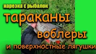 Нарезка с рыбалок на Чусовой. Тараканы , воблеры и поверхностные лягушки.