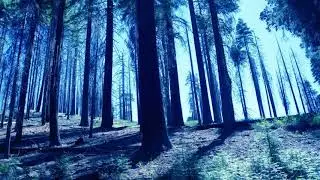 Lebanon Hanover - Babes Of The 80s (Tobias Bernstrup Remix) (Slowed Down)