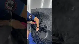 Tesla Cyber Truck STEK Camo Black