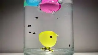 water tornado Easter egg surprise