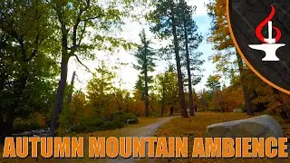 Autumn Mountain Ambience - 1 HOUR (Forest sounds, No music)